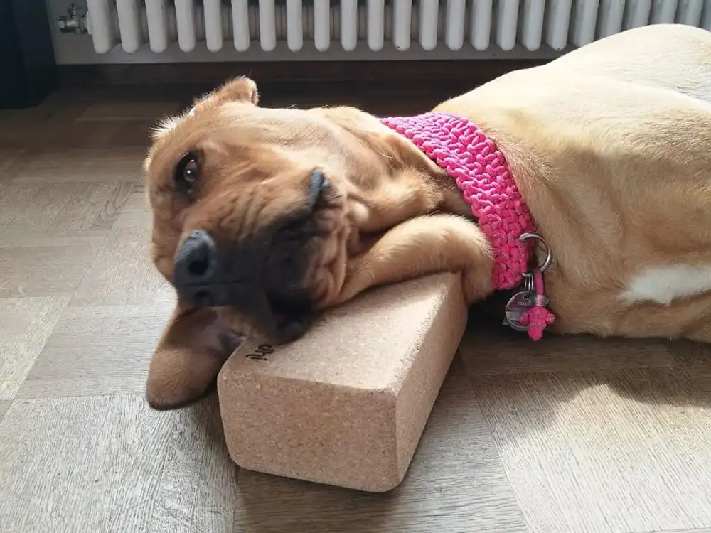 Praxis für Naturheilkunde