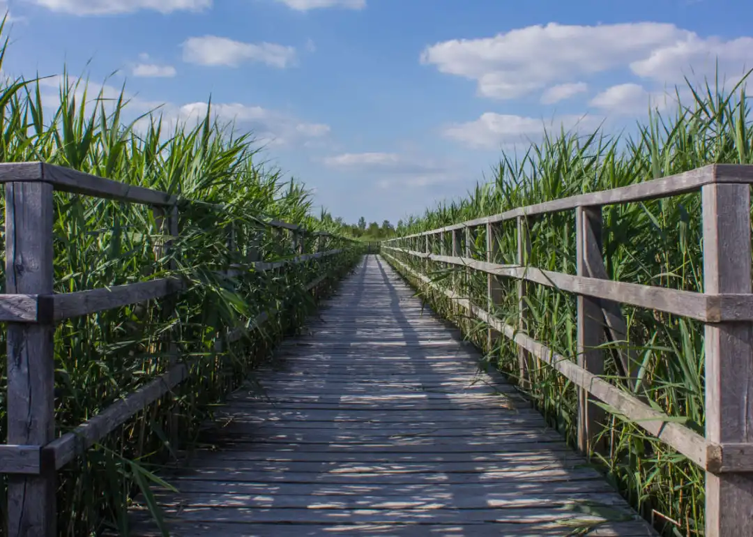 Therapien im Überblick